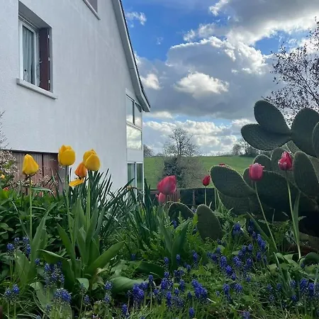 La Maison De Lili Proche D'aurillac
